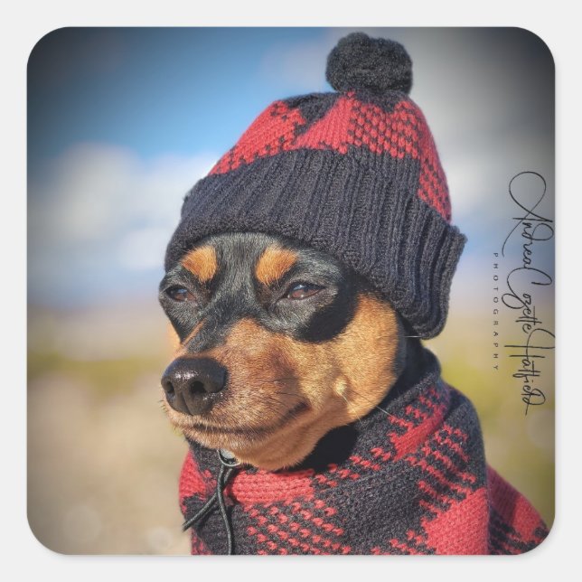 Pegatina Cuadrada Winter Min Pin (Anverso)