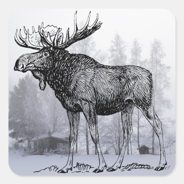 Pegatina Cuadrada Winter Moose (Anverso)