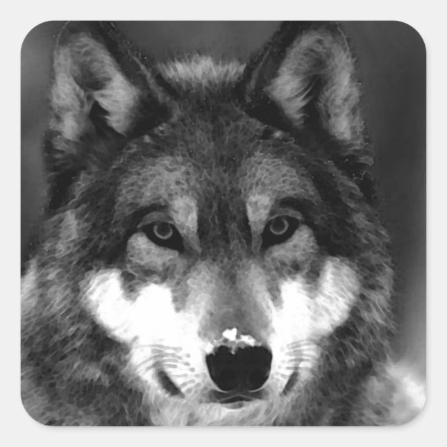 Pegatina Cuadrada Wolf (Anverso)
