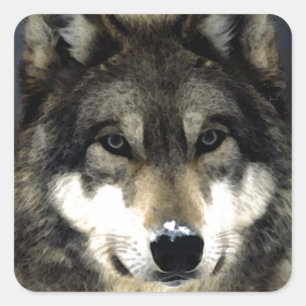 Pegatina Cuadrada Wolf
