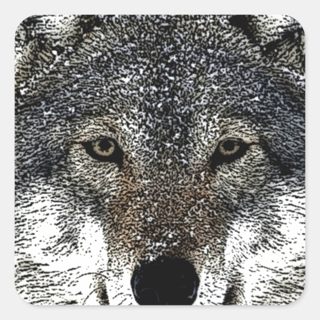 Pegatina Cuadrada Wolf Eyes (Anverso)