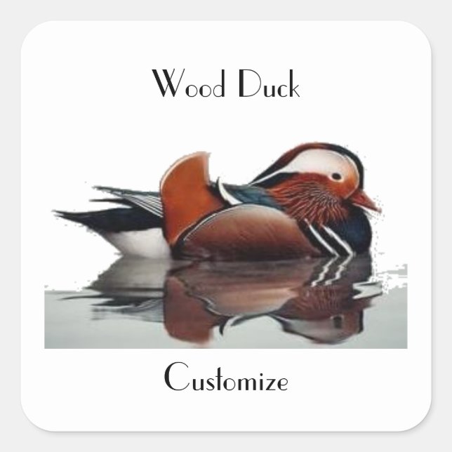 Pegatina Cuadrada Wood Duck Thunder_Cove (Anverso)