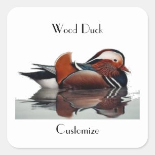 Pegatina Cuadrada Wood Duck Thunder_Cove