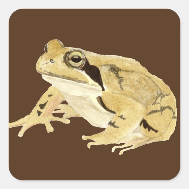 Pegatina Cuadrada Wood Frog (Anverso)