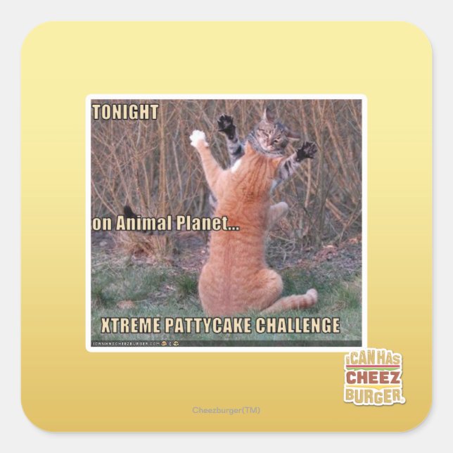 Pegatina Cuadrada Xtreme PattyCake Challenge (Anverso)