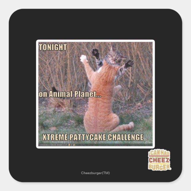 Pegatina Cuadrada Xtreme PattyCake Challenge (Anverso)