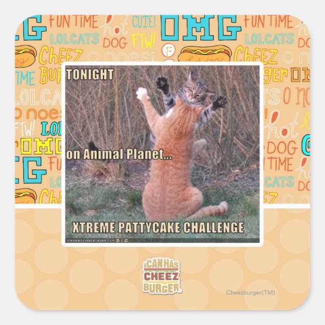 Pegatina Cuadrada Xtreme PattyCake Challenge (Anverso)