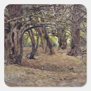 Pegatina Cuadrada Yews en la vieja madera del judío