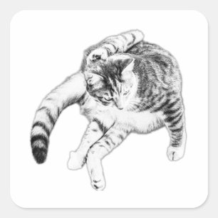 Pegatina Cuadrada Yoga, Pero Hazlo Gato