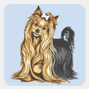 Pegatina Cuadrada yorkshire terrier