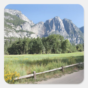 Pegatina Cuadrada Yosemite Valley Meadow, El Capitan, Staycation