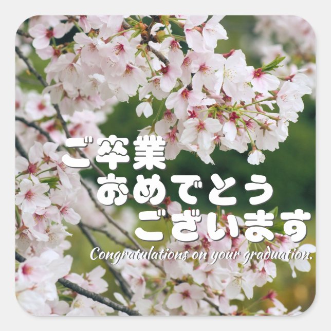 Pegatina Cuadrada Yoshino Cherry (Anverso)