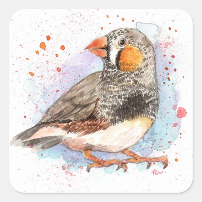 Pegatina Cuadrada Zebra Finch (Anverso)