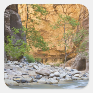 Pegatina Cuadrada Zion Narrows