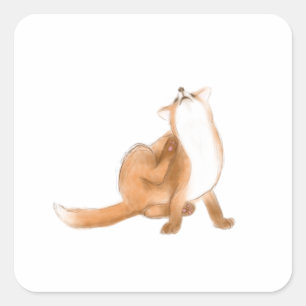 Pegatina Cuadrada Zorro crateur