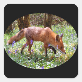 Pegatina Cuadrada Zorro Rojo en el Bosque de Campanillas Azules Arte
