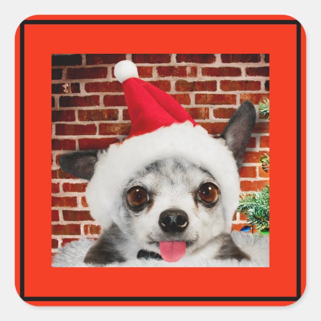PEGATINA CUADRADO CHIHUAHUA EN Santa hat (Anverso)