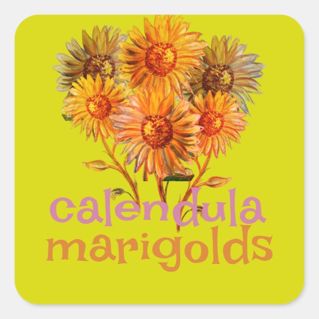 pegatina cuadrado de calendula marigolds (Anverso)