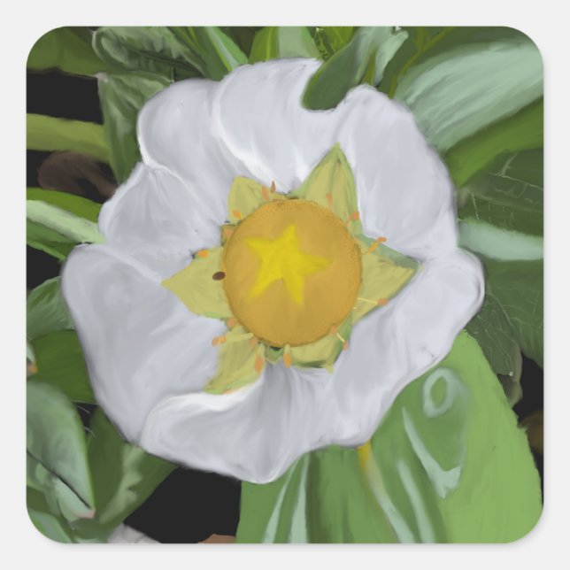 Pegatina cuadrado de fresa en flor (Anverso)
