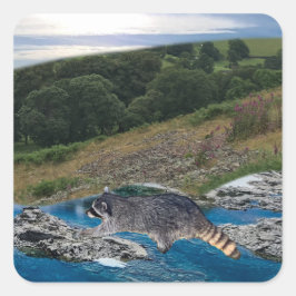 Pegatina cuadrado de Raccoon curioso e inteligente