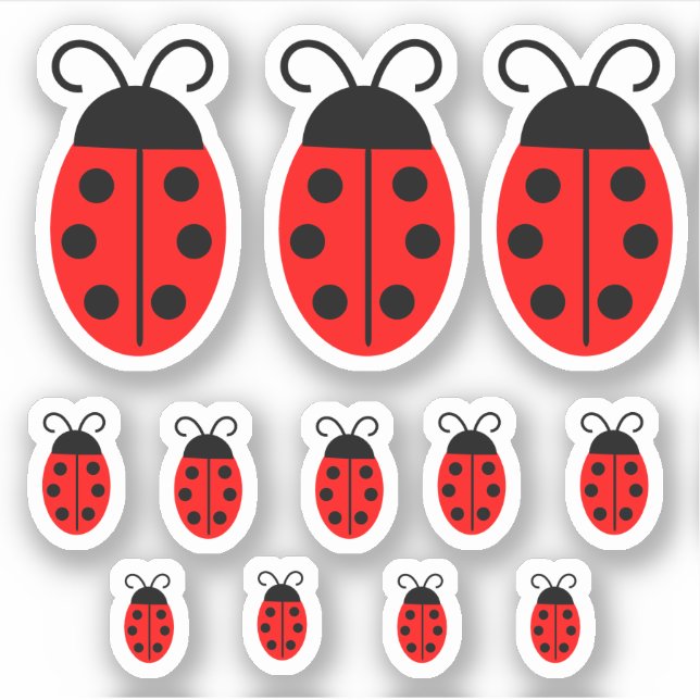 Pegatina Cuadybug rojo (Anverso)