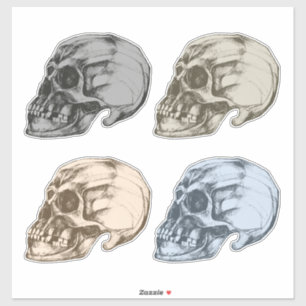 Pegatina Cuatro Calaveras de Vinilo