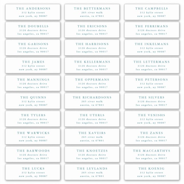 Pegatina Custom Blue Individual Editable Address Stickers (Anverso)