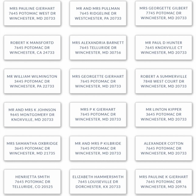 Pegatina Custom Name 18 Shipping Large Address Labels (Anverso)