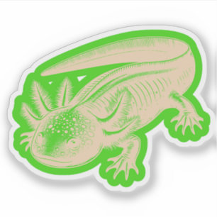 Pegatina Cute Axolotl New Designs Deep Wood Pallete Vinyl