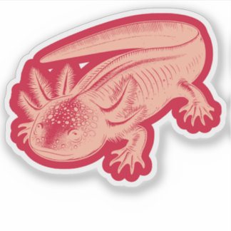 Pegatina Cute Axolotl New Designs Vinyl