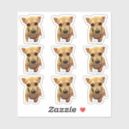 Pegatina Cute Chihuahua Dogs 4Carly
