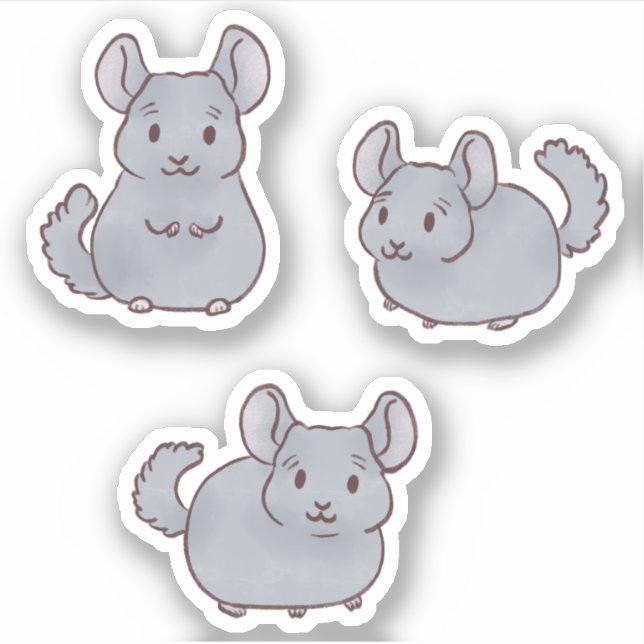 Pegatina Cute Chinchillas (Anverso)