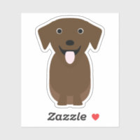 Cute Chocolate Lab, Labrador Recuperador Perro Vin