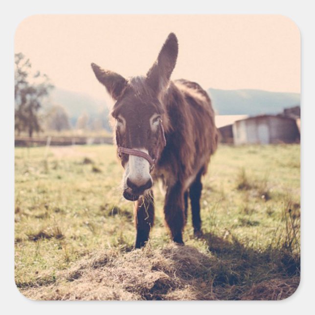 Pegatina Cute Donkey (Anverso)