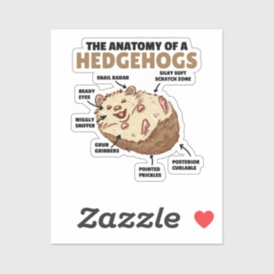 Pegatina Cute Hedgehog Explicación Anatomía De Un Hedgeogs