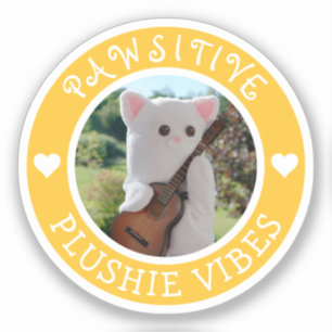 Pegatina Cute Kawaii, foto de videos de plástico patético a
