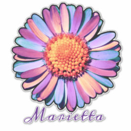 Pegatina Cute morado rosado azul Boho Daisy Bi personalizad