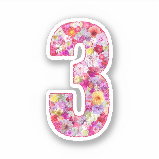 Pegatina Cute Pink Decorative Botanical Floral Number 3 (Anverso)