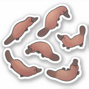 Pegatina Cute Platypus