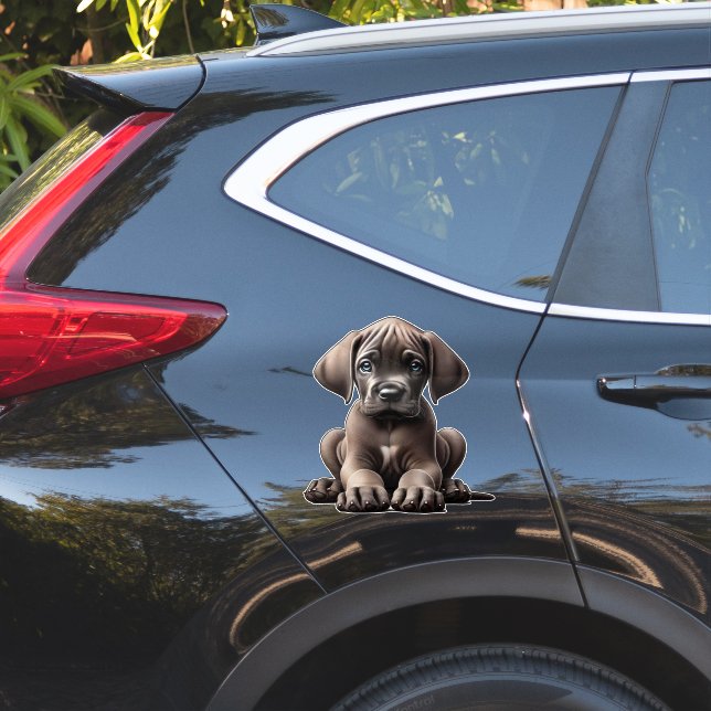 Pegatina Cuto gran dane puppy (Lado del coche)