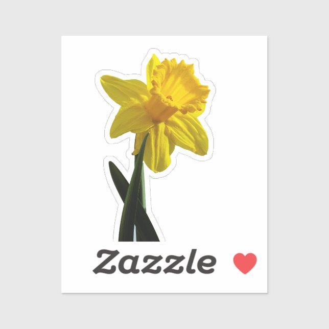 Pegatina Daffodil (Hoja)