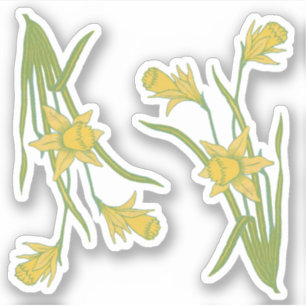 Pegatina Daffodils de Día de San David o San Piran (fL) -