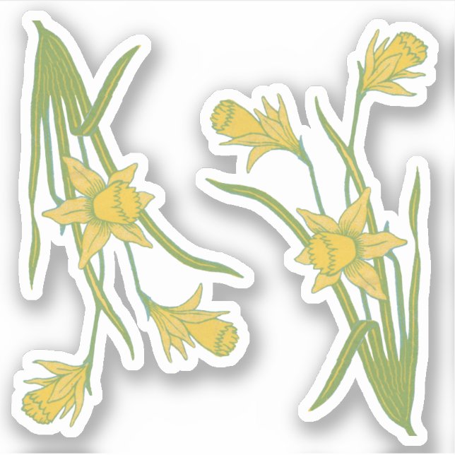 Pegatina Daffodils de Día de San David o San Piran (fL) - (Anverso)