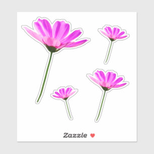 Pegatina Daisy africano