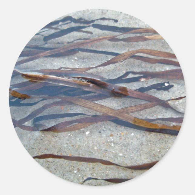 Pegatina de algas marinas Eel Grass (Anverso)