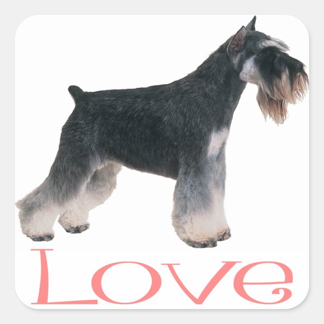 Pegatina de amor rosado de perro de acuppy Schnauz (Anverso)