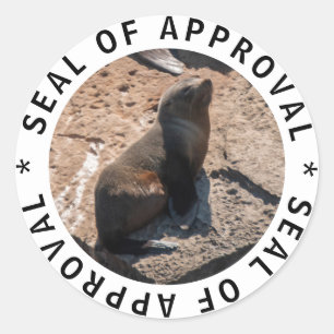 Pegatina de aprobación de escueto y gracioso bebé