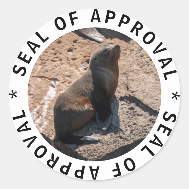 Pegatina de aprobación de escueto y gracioso bebé (Anverso)