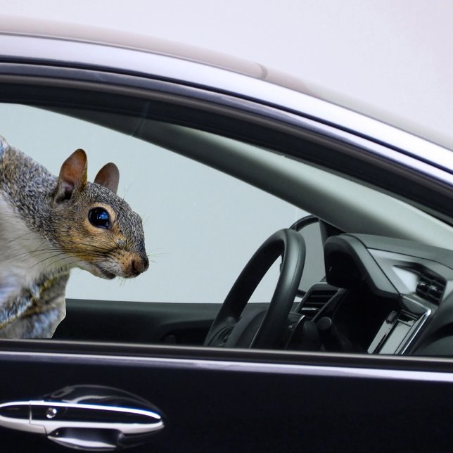 Pegatina de ardilla (Squirrel Sticker)