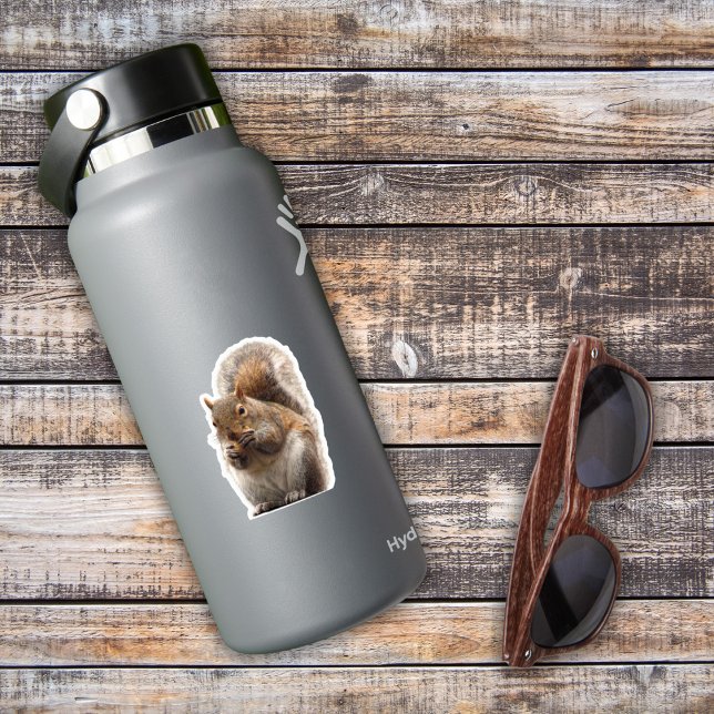 Pegatina de ardilla (Birthday Depot
Squirrel Sticker)